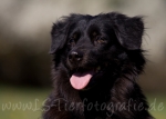 14 Lola&Kosta